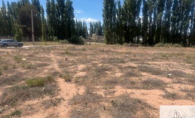 Terreno / Lote en alquiler de 840m2 ubicado en Centenario