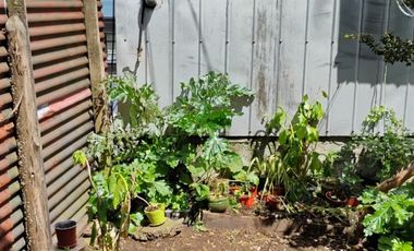 Se arrienda departamento en sector céntrico de Ancud