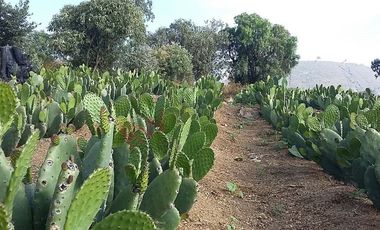 VENTA Terreno rustico, en Villa Milpa Alta. Gran Potencial para Derarrollo Habitacional, Comercial o Ejidal