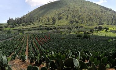 VENTA Terreno rustico, en Villa Milpa Alta. Gran Potencial para Derarrollo Habitacional, Comercial o Ejidal