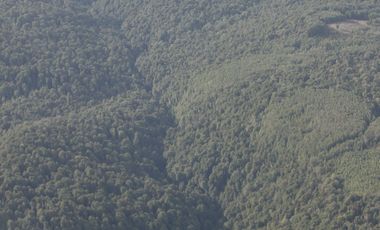 SE VENDE  CAMPO   DE 4900 HECTAREAS , EN ANCUD -CHILOE
