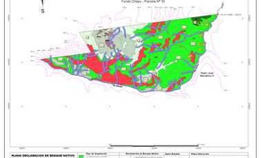 SE VENDE  CAMPO   DE 4900 HECTAREAS , EN ANCUD -CHILOE