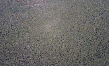 SE VENDE  CAMPO   DE 4900 HECTAREAS , EN ANCUD -CHILOE