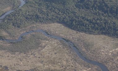 SE VENDE  CAMPO   DE 4900 HECTAREAS , EN ANCUD -CHILOE