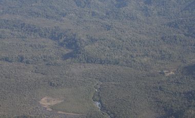 SE VENDE  CAMPO   DE 4900 HECTAREAS , EN ANCUD -CHILOE