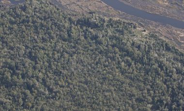 SE VENDE  CAMPO   DE 4900 HECTAREAS , EN ANCUD -CHILOE