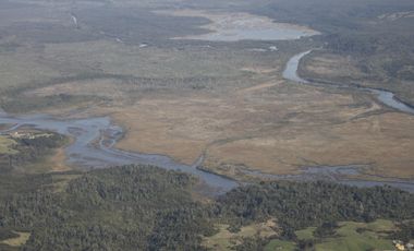SE VENDE  CAMPO   DE 4900 HECTAREAS , EN ANCUD -CHILOE