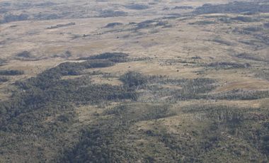 SE VENDE  CAMPO   DE 4900 HECTAREAS , EN ANCUD -CHILOE