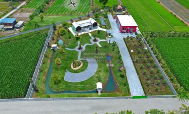For Sale European-style House with Natural View on a Large 4 Rai Plot in Bang Len District, Nakhon Pathom, CX-137317