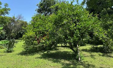 Casa de campo en venta tipo bungalow