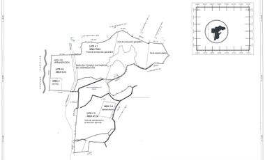 VENTA TERRENO CON ÁREA HOTELERA, PROY. DE VIVIENDA, ÁREA GANADERIA, AGRICOLA Y CAMARONERA