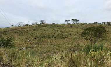 VENTA TERRENO CON ÁREA PARA PRODUCCIÓN GANADERA, AGRICOLA Y CAMARONERA – COJIMIES