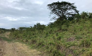 VENTA TERRENO CON ÁREA PARA PRODUCCIÓN GANADERA, AGRICOLA Y CAMARONERA – COJIMIES