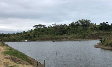 VENTA TERRENO CON ÁREA PARA PRODUCCIÓN GANADERA, AGRICOLA Y CAMARONERA – COJIMIES