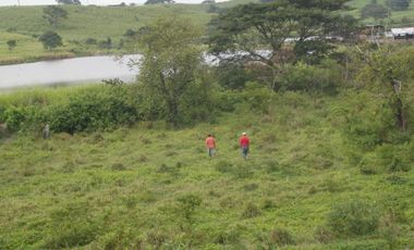VENTA TERRENO CON ÁREA PARA PRODUCCIÓN GANADERA, AGRICOLA Y CAMARONERA – COJIMIES