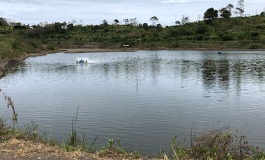 VENTA TERRENO CON ÁREA PARA PRODUCCIÓN GANADERA, AGRICOLA Y CAMARONERA – COJIMIES