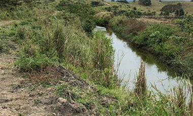 VENTA TERRENO CON ÁREA PARA PRODUCCIÓN GANADERA, AGRICOLA Y CAMARONERA – COJIMIES