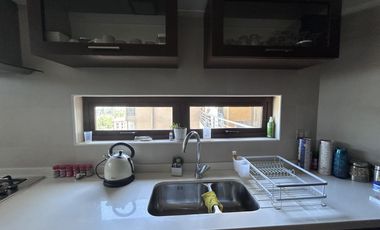 METRO PARQUE OHIGGINS Y RONDIZZONI DEPARTAMENTO 3D 2B