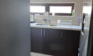 METRO PARQUE OHIGGINS Y RONDIZZONI DEPARTAMENTO 3D 2B