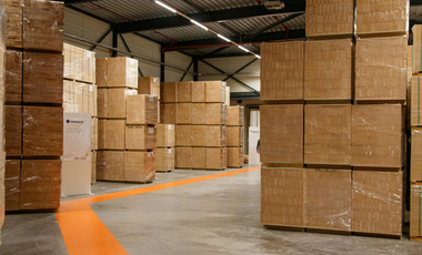 LOTE INDUSTRIAL EN VENTA TLAQUEPAQUE JALISCO