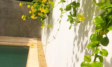 Departamento Nuevo, 2 Recámaras, Acceso Controlado en Riviera Maya