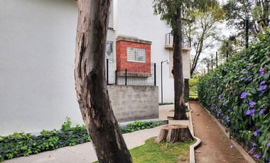 Departamento en renta en 🌳 Parques del Bosque