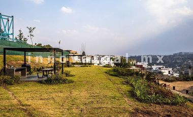 Terra  Viure-Zona Esmeralda