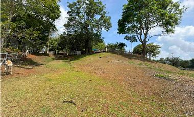 Venta de Finca Agroturística en la Chorrera
