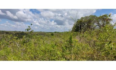 En venta propiedad cerca de la playa de Piedras Gordas, San Carlos