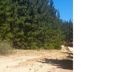 Terreno 20 Mtos. De Pichilemu Y Playa Mónaco