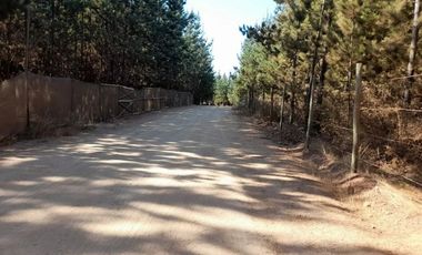 Terreno 20 Mtos. De Pichilemu Y Playa Mónaco