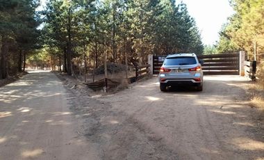 Terreno 20 Mtos. De Pichilemu Y Playa Mónaco