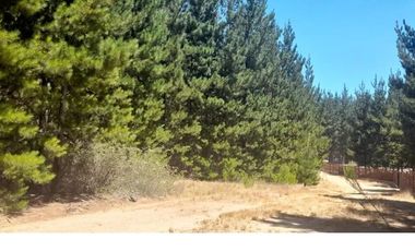 Terreno 20 Mtos. De Pichilemu Y Playa Mónaco