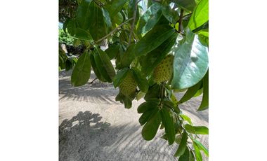 CASA PARA ARRIENDO AMOBLADA SECTOR -SABANILLA,PUERTO COLOMBIA