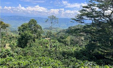 Hermosa Finca Cafetera Técnificada, en  Belalcazar