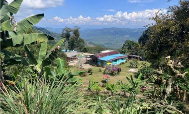 Hermosa Finca Cafetera Técnificada, en  Belalcazar
