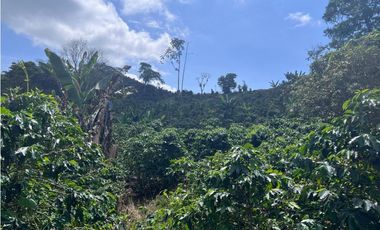 Hermosa Finca Cafetera Técnificada, en  Belalcazar