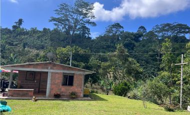 Hermosa Finca Cafetera Técnificada, en  Belalcazar