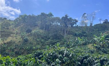 Hermosa Finca Cafetera Técnificada, en  Belalcazar
