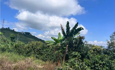 Hermosa Finca Cafetera Técnificada, en  Belalcazar