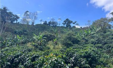 Hermosa Finca Cafetera Técnificada, en  Belalcazar