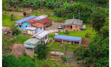 Hermosa Finca Cafetera Técnificada, en  Belalcazar