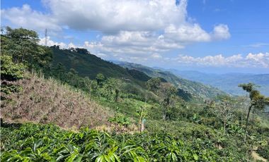Hermosa Finca Cafetera Técnificada, en  Belalcazar