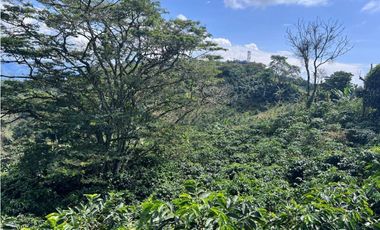 Hermosa Finca Cafetera Técnificada, en  Belalcazar