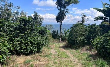 Hermosa Finca Cafetera Técnificada, en  Belalcazar