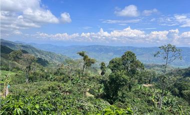 Hermosa Finca Cafetera Técnificada, en  Belalcazar