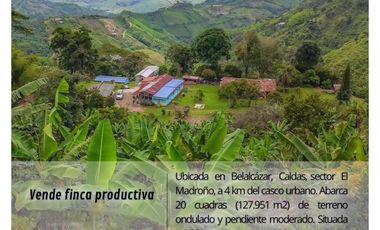 Hermosa Finca Cafetera Técnificada, en  Belalcazar