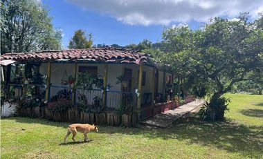 Hermosa Finca Cafetera Técnificada, en  Belalcazar