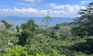 Hermosa Finca Cafetera Técnificada, en  Belalcazar