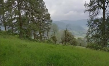 Espectacular finca en la Florida, Risaralda.